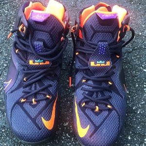 Lebron 12 “instinct”